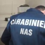 NAS Controlli Mense Scarafaggi e escrementi