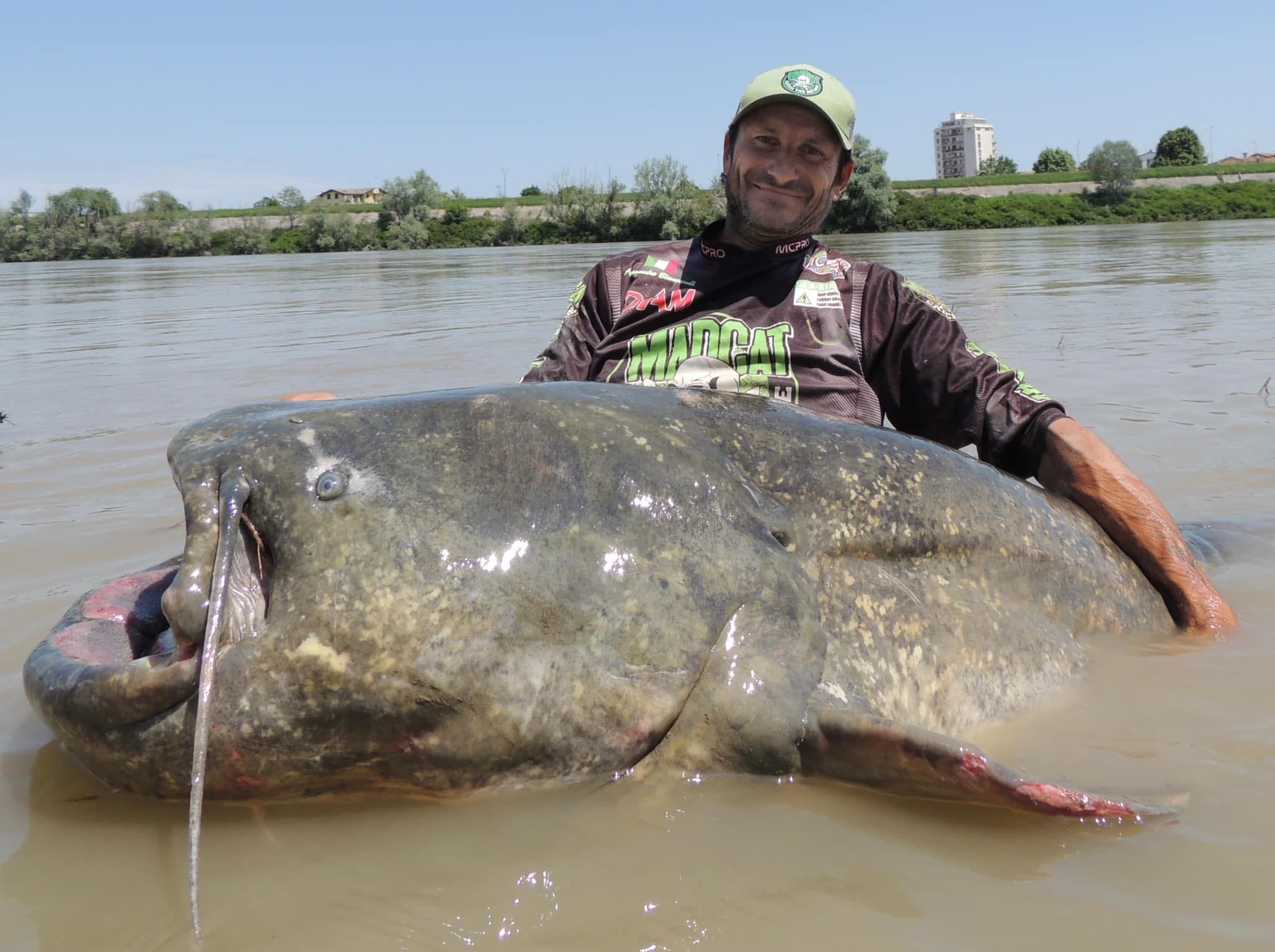 Siluro da 3 metri pescato nel fiume Po Alessandro Biancardi