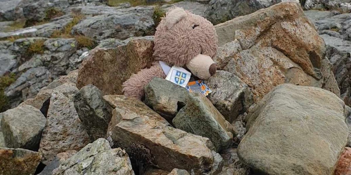 Orsacchiotto giramondo salvato dopo essere stato dimenticato in cima a una montagna in Scozia