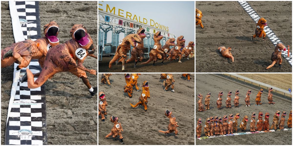 Queste foto dei campionati mondiali di T-Rex 2023 sono semplicemente esilaranti