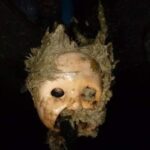Testa di bambola gettata in un WC causa spaventoso intasamento prima di Halloween