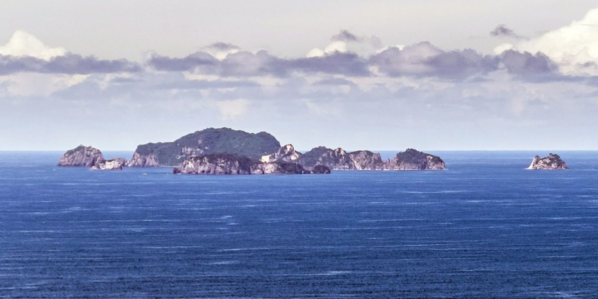 Un uomo alla deriva nel mare della Nuova Zelanda viene salvato dopo aver usato l'orologio per riflettere il sole