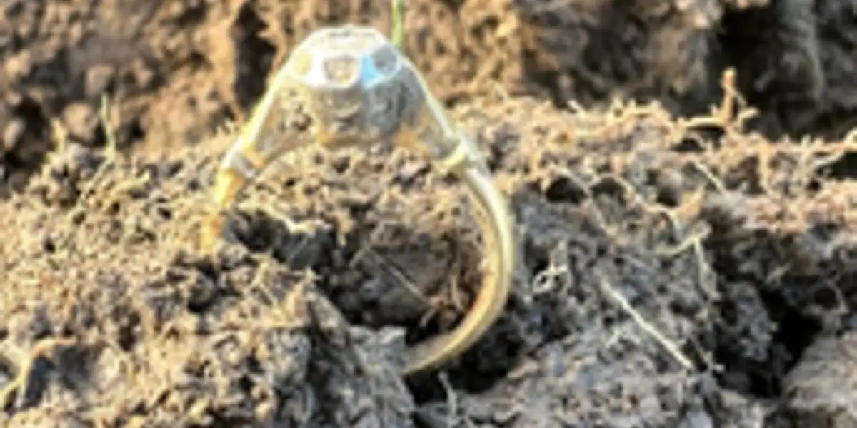 Donna ritrova il suo anello di fidanzamento dopo 54 anni
