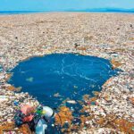 Ocean Cleanup e Oceani Puliti : Nuovo record nella raccolta delle plastiche disperse nell'Oceano il 2024 un grande anno.