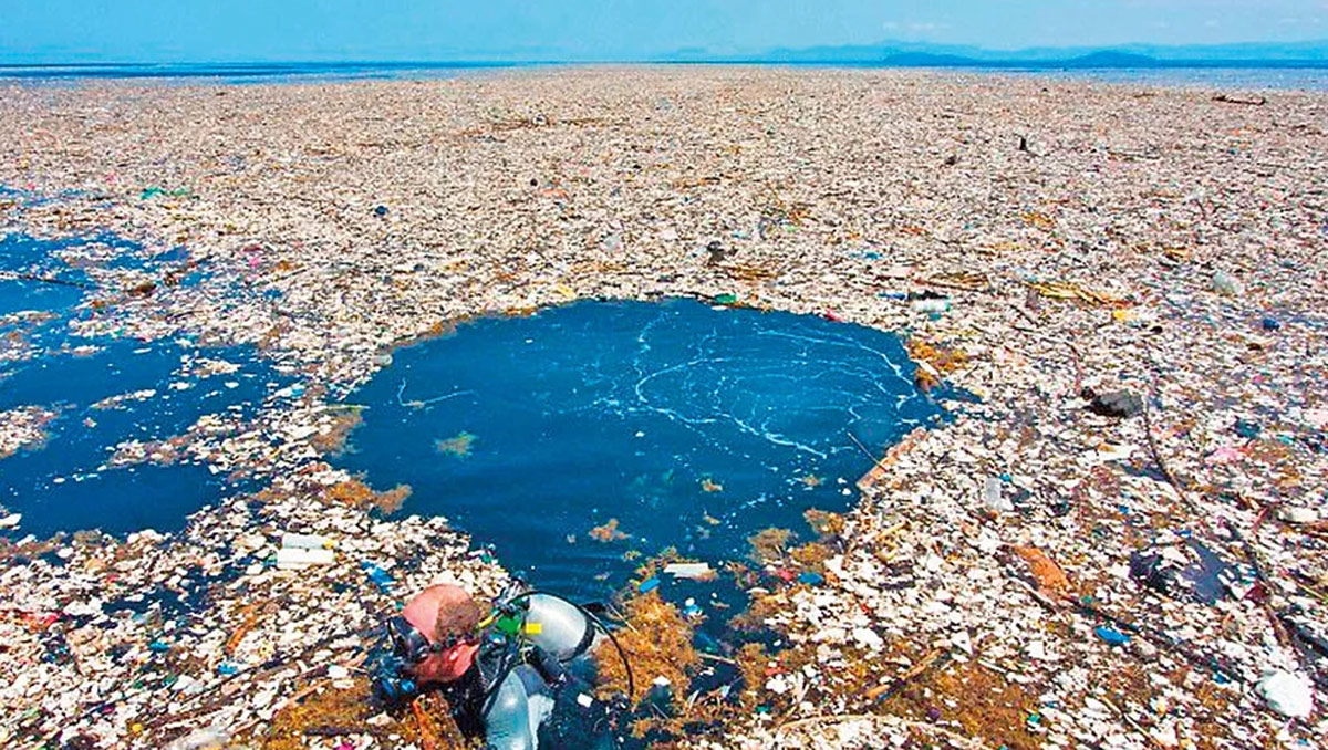 Ocean Cleanup e Oceani Puliti : Nuovo record nella raccolta delle plastiche disperse nell'Oceano il 2024 un grande anno.