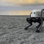 Vero il Cane robot pulisce spiagge mozziconi sigaretta: scopri come il cane robot , sta aiutando la pulizia urbana a Genova.