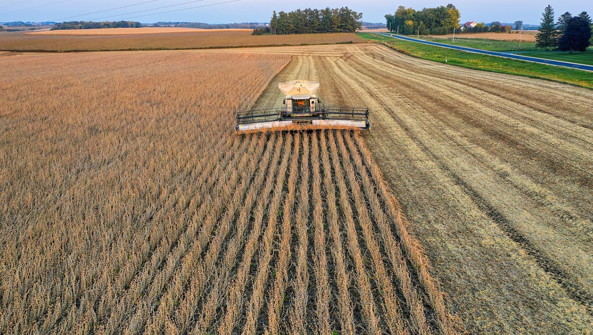 Sistema alimentare sostenibile urgente esperti avvertono: restano solo 60 raccolti. Le soluzioni proposte per salvare il nostro pianeta e la nostra alimentazione.