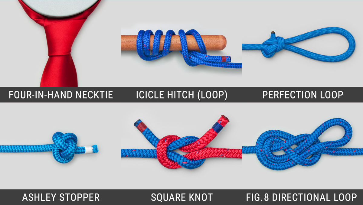 Animated Knots nodi online: l'enciclopedia dei nodi dalle tecniche di base alle quelle specialistiche. Impara con animazioni intuitive