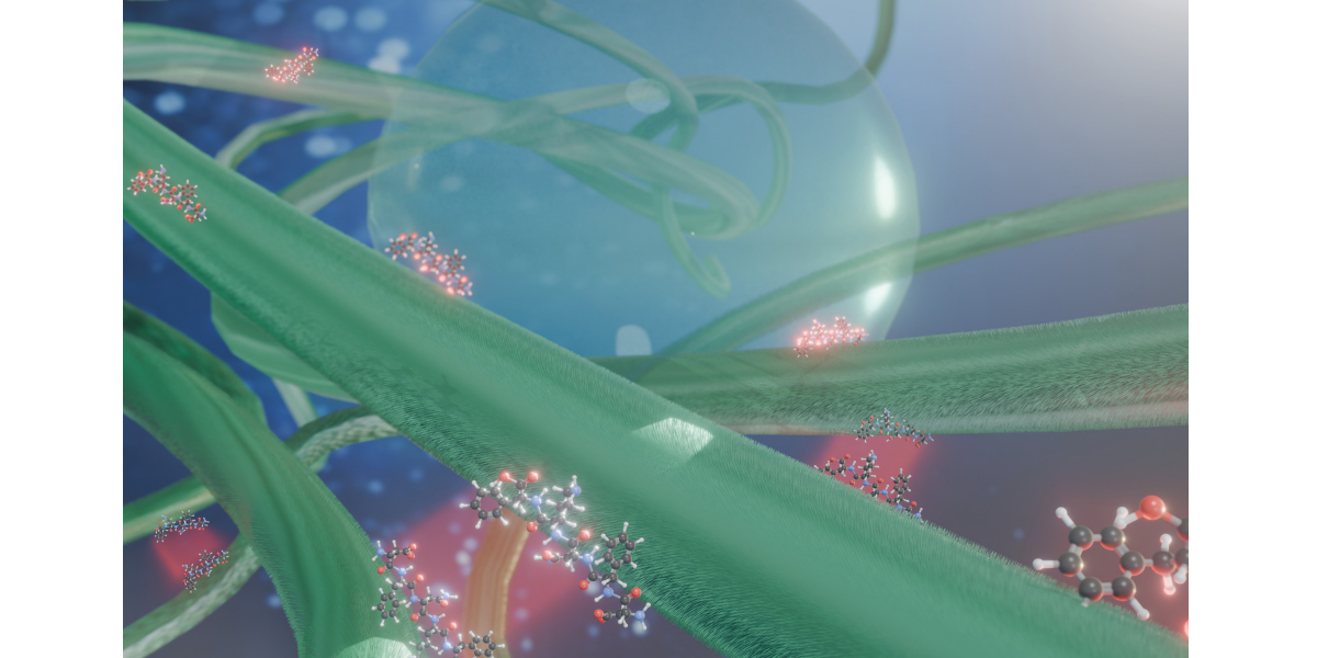 Fonte Immagine - Journal of Materials Chemistry B Carta idrofobica sostenibile: il Politecnico di Milano con le nanofibre di cellulosa e proteine per migliorare il packaging e i biomateriali